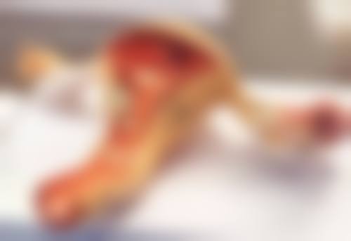 七、晋城现代女子医院价格表：（仅供参考）