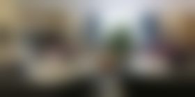 孙林晚项目价格表参考