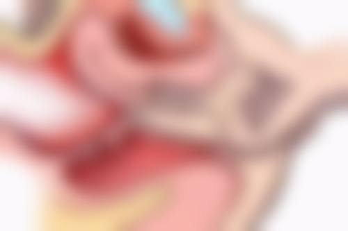 七、杭州东方整形门诊部价格表：（仅供参考）