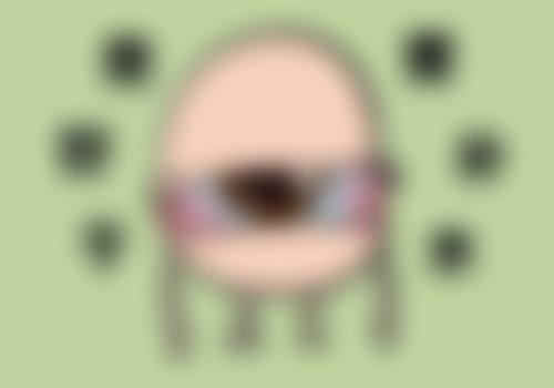 吴楠项目价格表参考