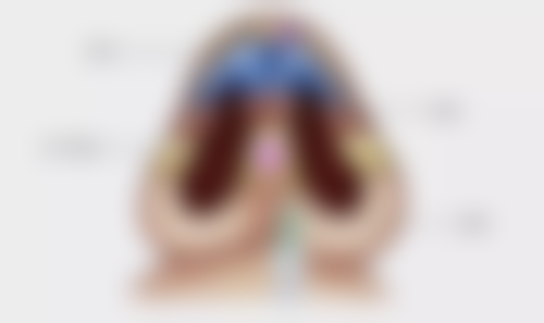 三、延世withe医院基本信息：