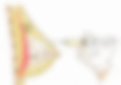 四、亚峰整形美容连锁开展的主要项目和特色项目