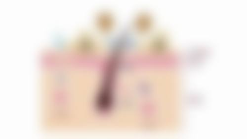 五、深圳深美医疗美容诊所怎么预约：