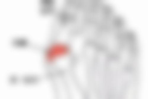 七、周口垣梦整形医疗美容门诊部价格表：（仅供参考）