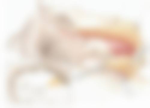 医院选择：靠谱是关键