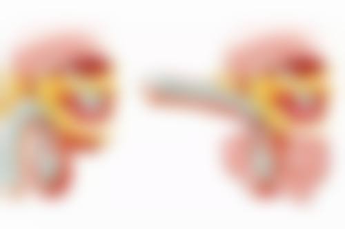 三、重庆木槿医疗美容医生介绍: