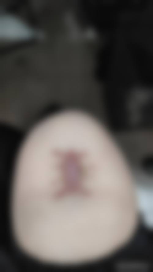 冯少清个人资料及简历