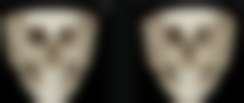 日常护理不可少,柚子助力添成效