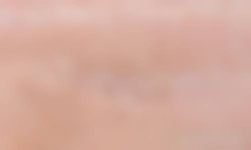 冯少清项目价格表参考