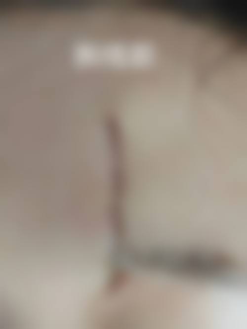 冯少清项目价格表参考