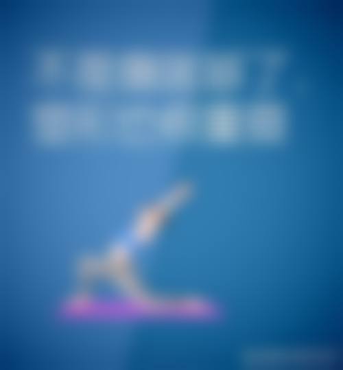 吕红卫项目价格表参考