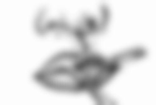 二次手术有哪些注意事项？