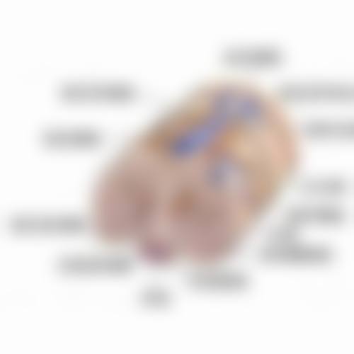 二、铁岭匠欣整形医院正规吗?来看看医院资质: