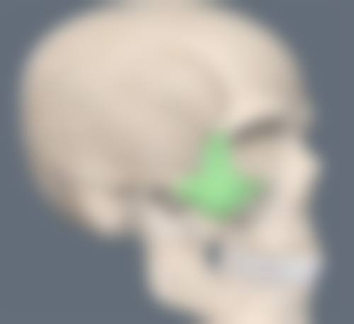 二、德阳千颂伊（一生美）医疗美容诊所正规吗？来看看医院资质：