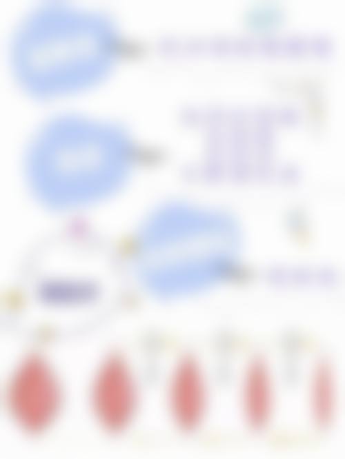 多种方案巧搭配,后续瘦脸更有效