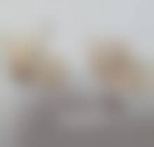 三、沈阳美人贻医疗美容诊所基本信息：