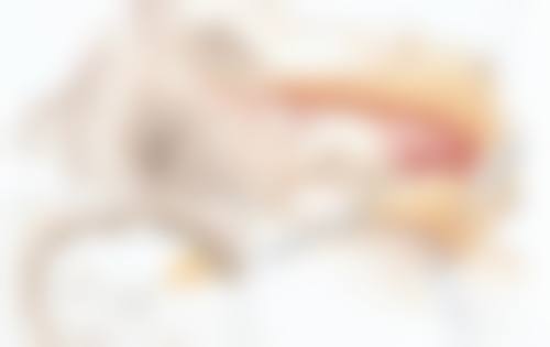 想确定割双眼皮后何时返岗,个人体质也特别关键