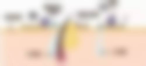 五、南京颜鉴整形医院怎么预约：