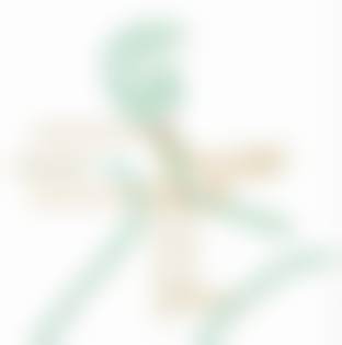 苏敬达个人资料及简历