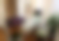 刘娟娟个人资料及简历