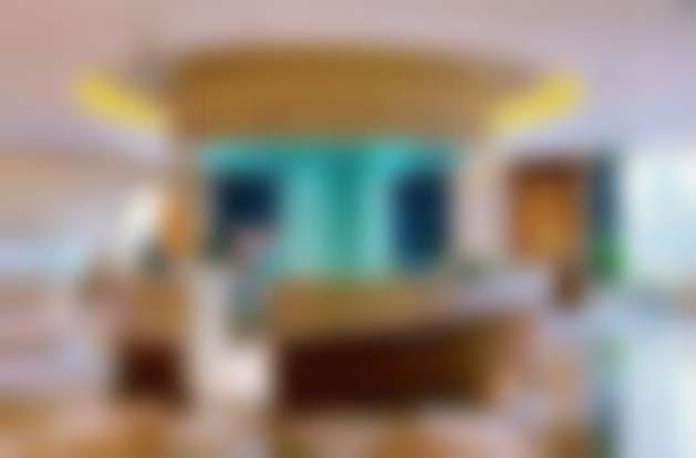 李雯雯项目价格表参考