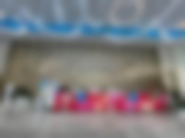 马晓琳个人资料及简历