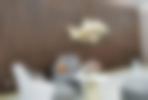 蔡张优悠皮肤美容实例