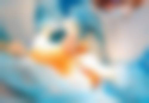 八、成都武侯韩亚整形医疗美容门诊部真实的顾客评价如下：