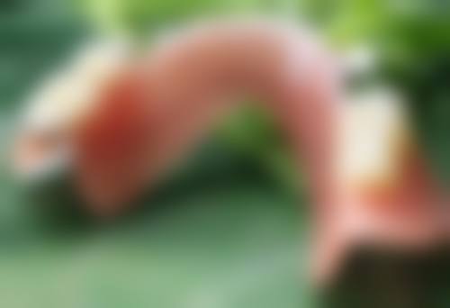 二、郑州上上善美医疗美容医院正规吗?来看看医院资质: