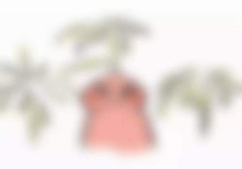 五、桂林叶氏嘉美整形医疗美容医院（原叶向东医疗美容整形）怎么预约：