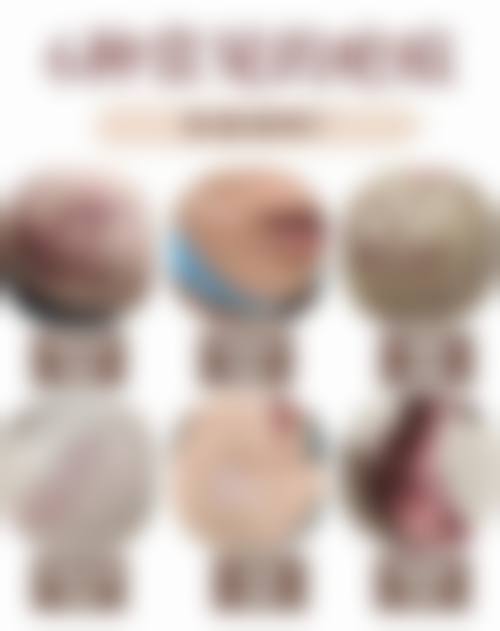 钟穗航项目价格表参考