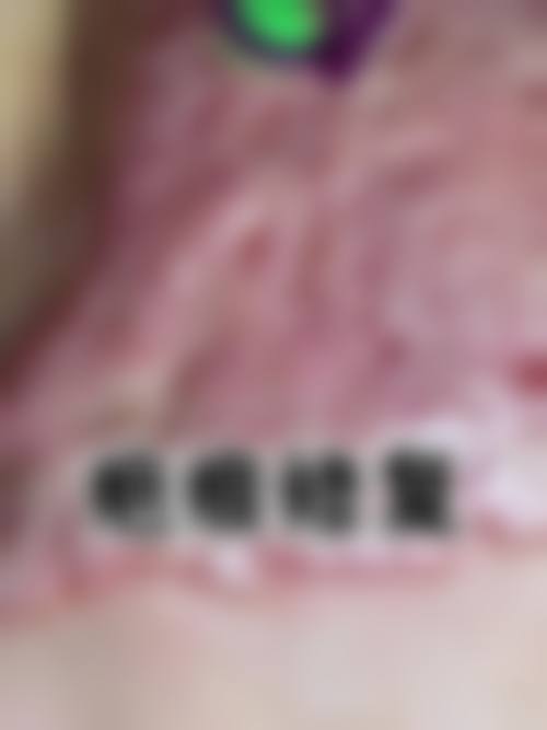 刘志勇项目价格表参考