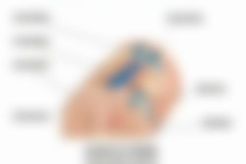 六、汕头曙光整形医院怎么预约：