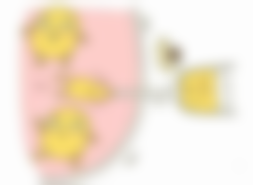 谢有富怎么预约?