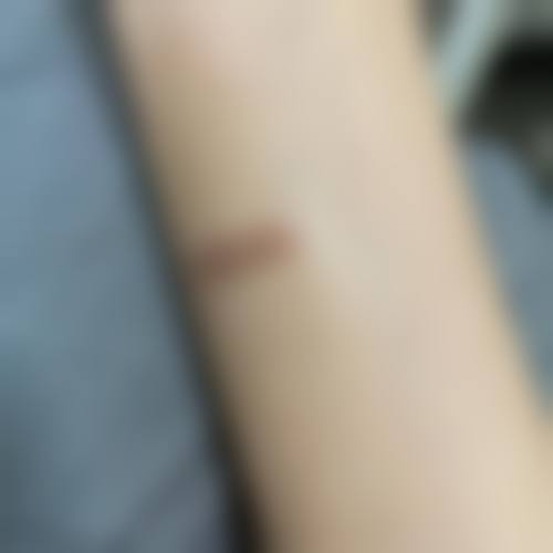 汪锦伦项目价格表参考