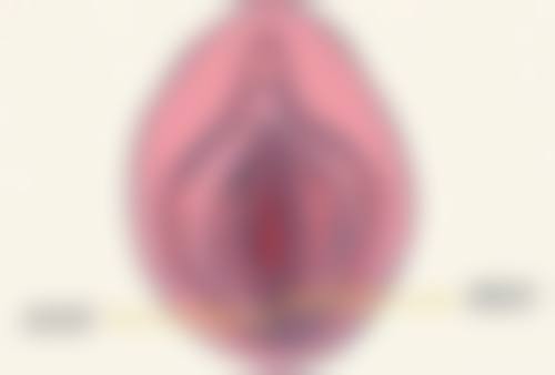 三、西安柏谚雅美容诊所基本信息：