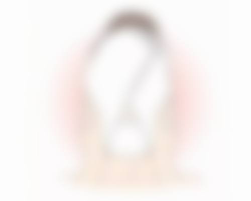 三、包头巴诺巴奇基本信息：