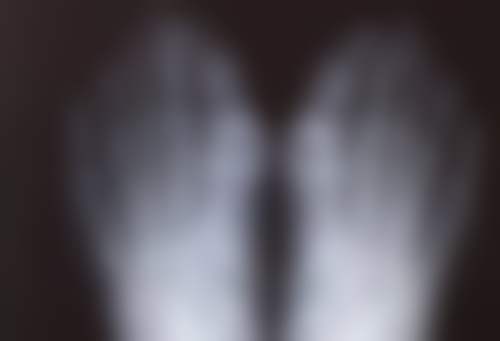 四、娄底市中 心医院医学整形美容科开展的主要项目和特色项目：