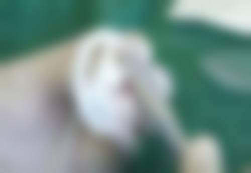 四、天津轻轻整形医院开展的主要项目和特色项目