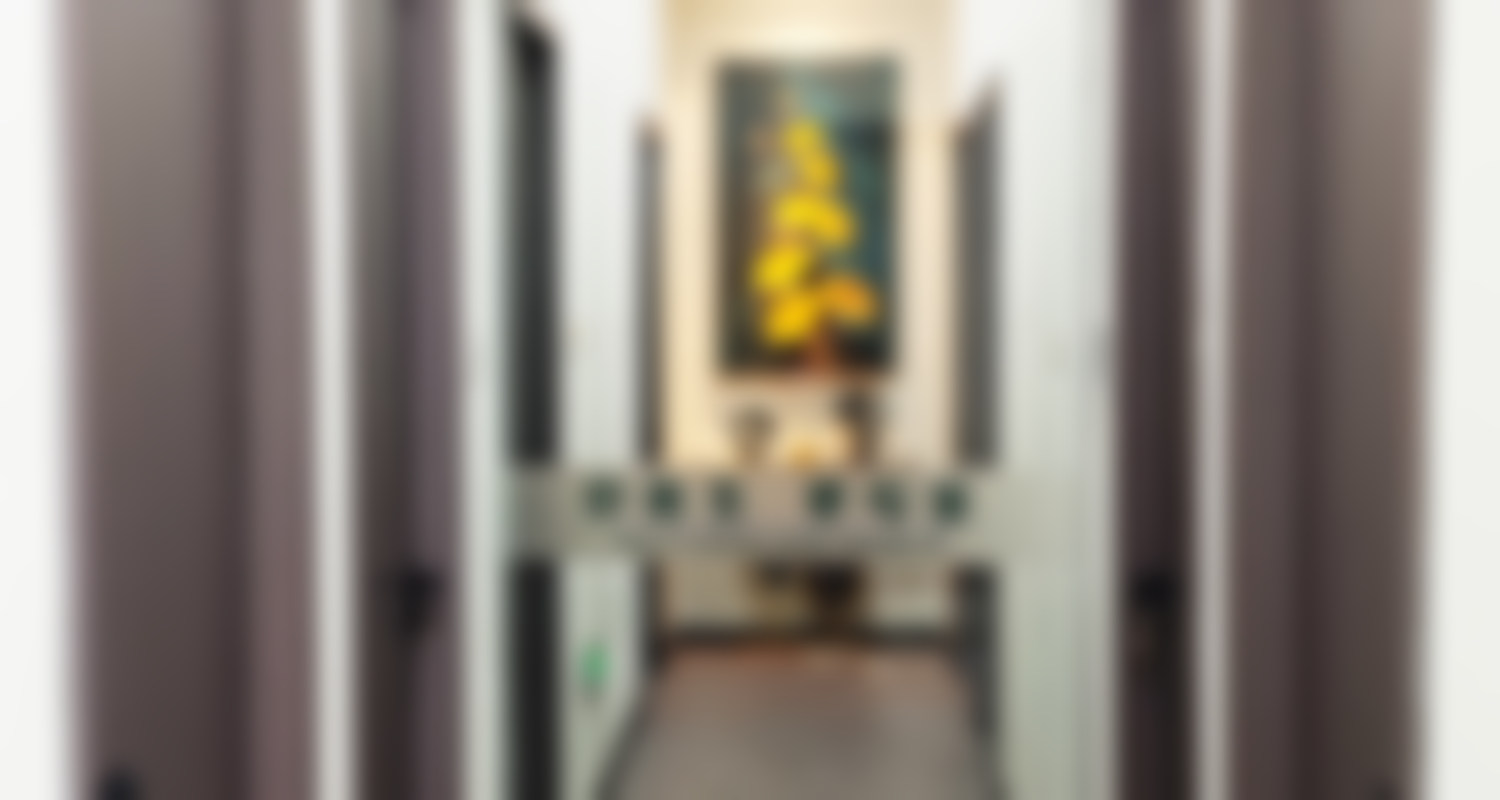 宁波鄞州拾壹逐光医疗美容诊所吴霞医生擅长项目