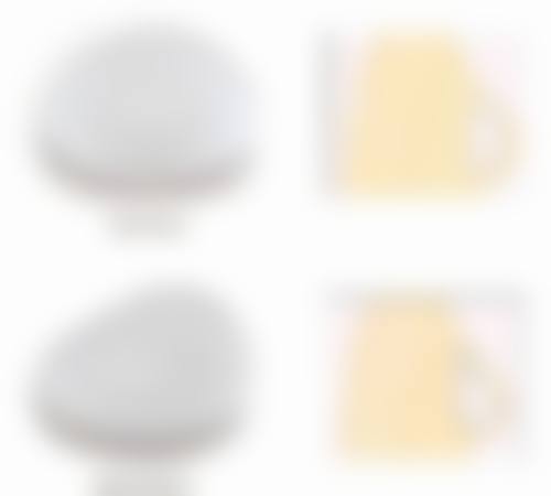 三、日本MEGA美容整形外科医生介绍: