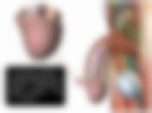 美杜莎双眼皮究竟强在哪？适配人群广泛