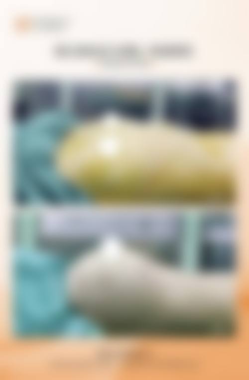 二、呼伦贝尔牙克石谢月飞外科诊所正规吗？来看看医院资质：