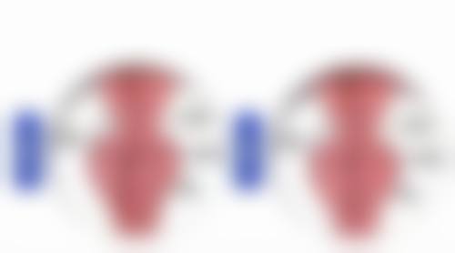 咬伤疤痕去除有妙招？多类型治疗+日常护理，全方位改善咬伤疤痕外观 