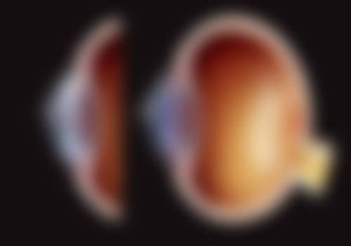 三、重庆普瑞眼科医生介绍: