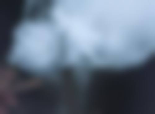 去除黑眼袋用什么？天然植物精华与按摩手法的理想结合