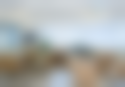 胡志奇医生实例