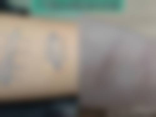 梁志刚医生项目价格表参考