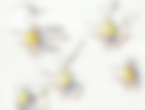 三、大连王立刚医疗美容诊所医生介绍: