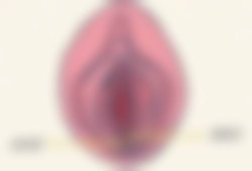 肥胖吸脂手术暗藏哪些危险？深入剖析风险、禁忌与注意事项保障手术安全 